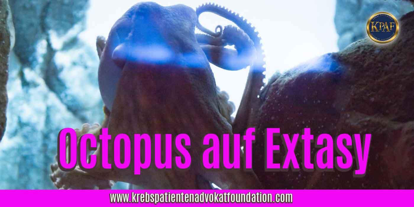 KPAF® Krebs Patienten Advokat Foundation - Oktopus Experiment mit Extasy