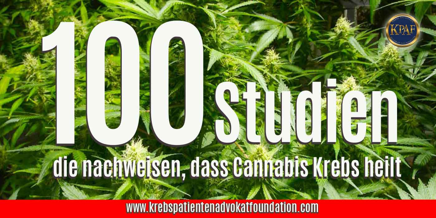 KPAF® 100 Studien die nachweisen ,dass Cannabis Krebs heilt. Krebspatientenadvokatfoundation.com